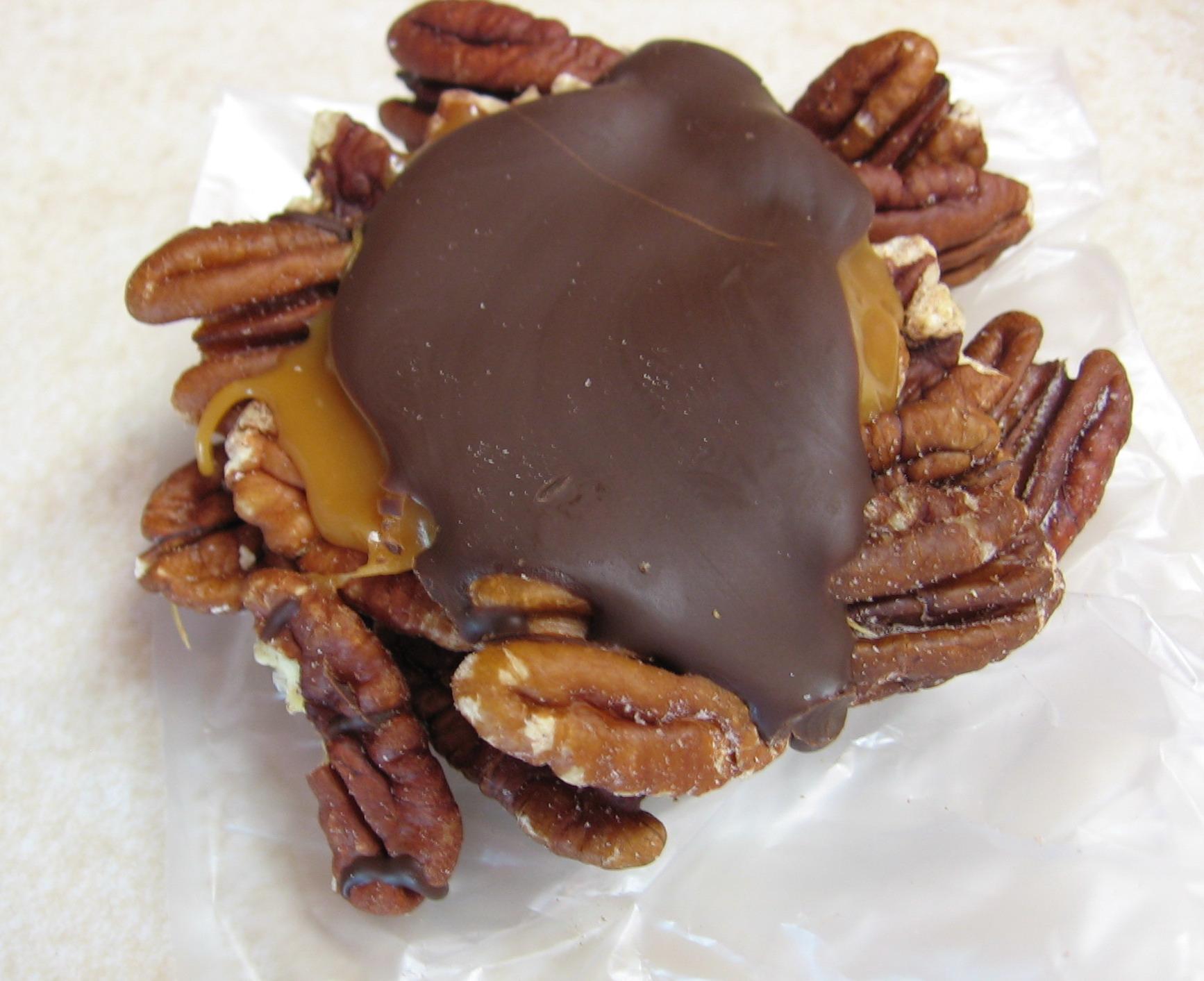 AutoShip - Hand-Dipped Turtles - Image 2