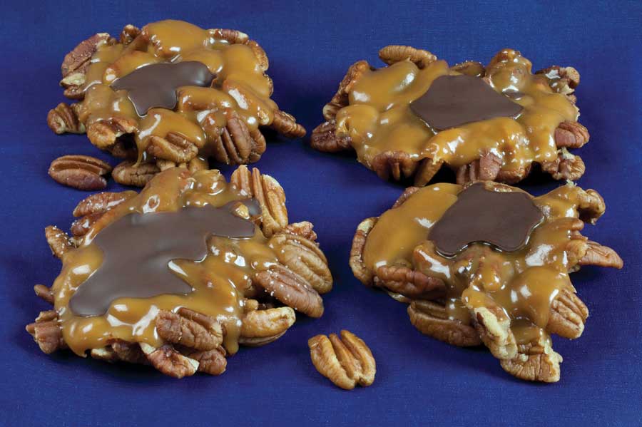 AutoShip - Hand-Dipped Turtles - Image 4